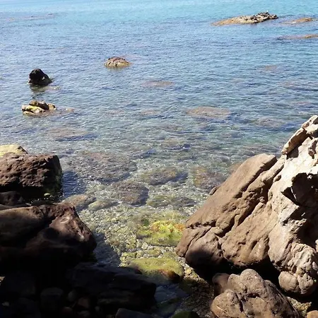 Adamo * Cefalu