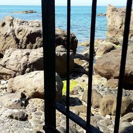 Adamo *