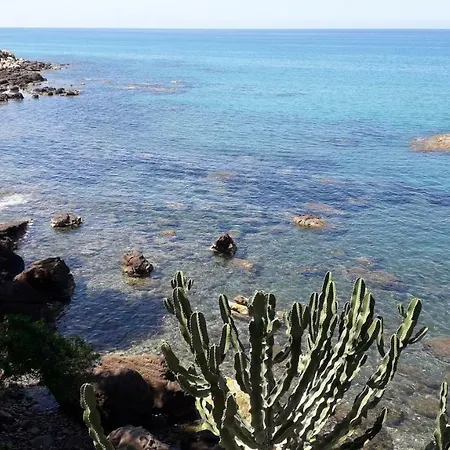 Adamo * Cefalu