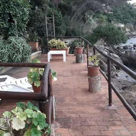 Adamo * Cefalu